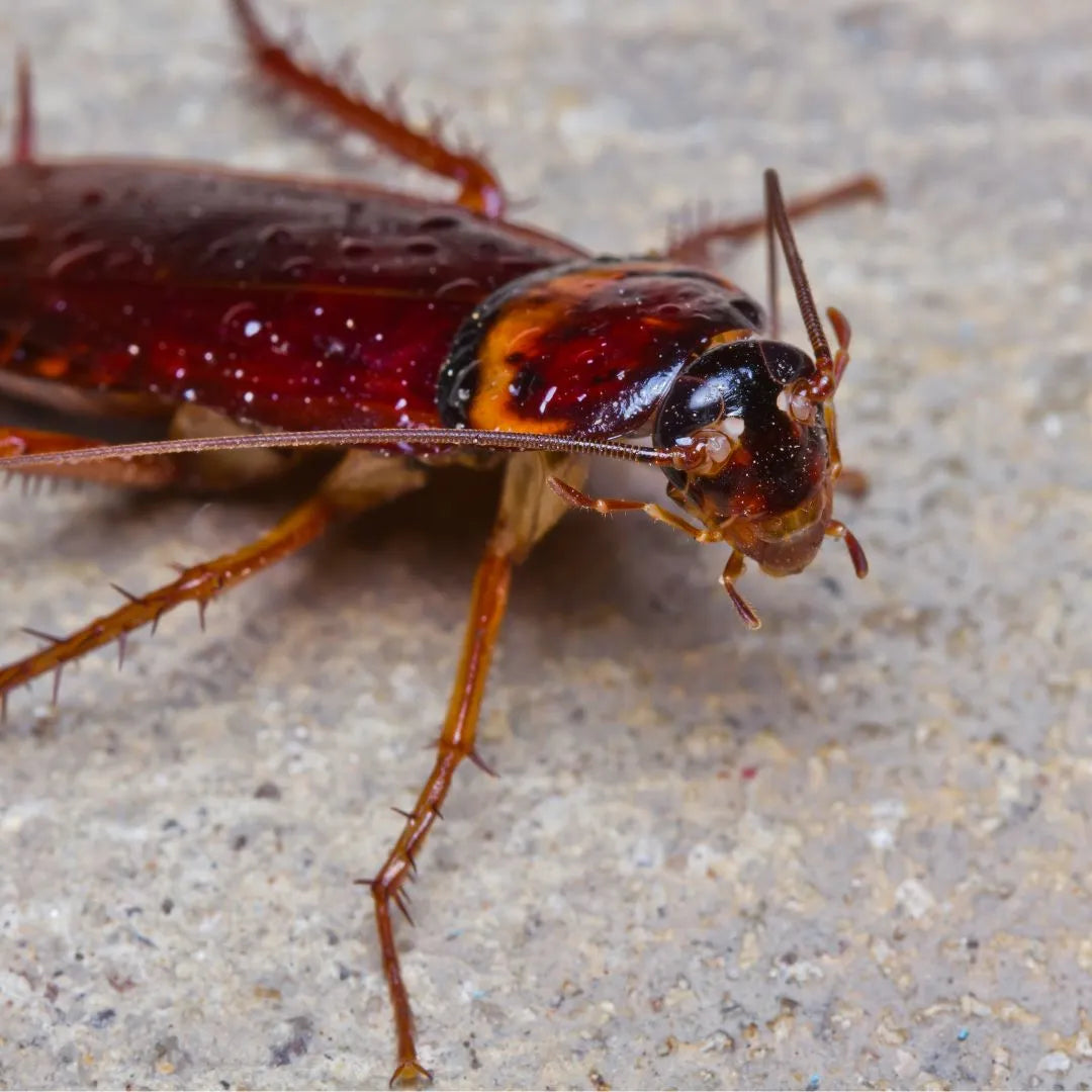 1.jpg__PID:495a78e9-e722-4b79-8f0f-394d85c7baf3