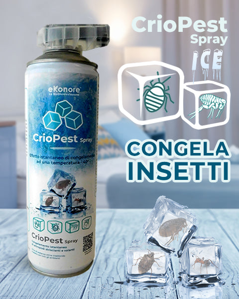 CrioPest | Spray insetticida congelante ad azione rapida