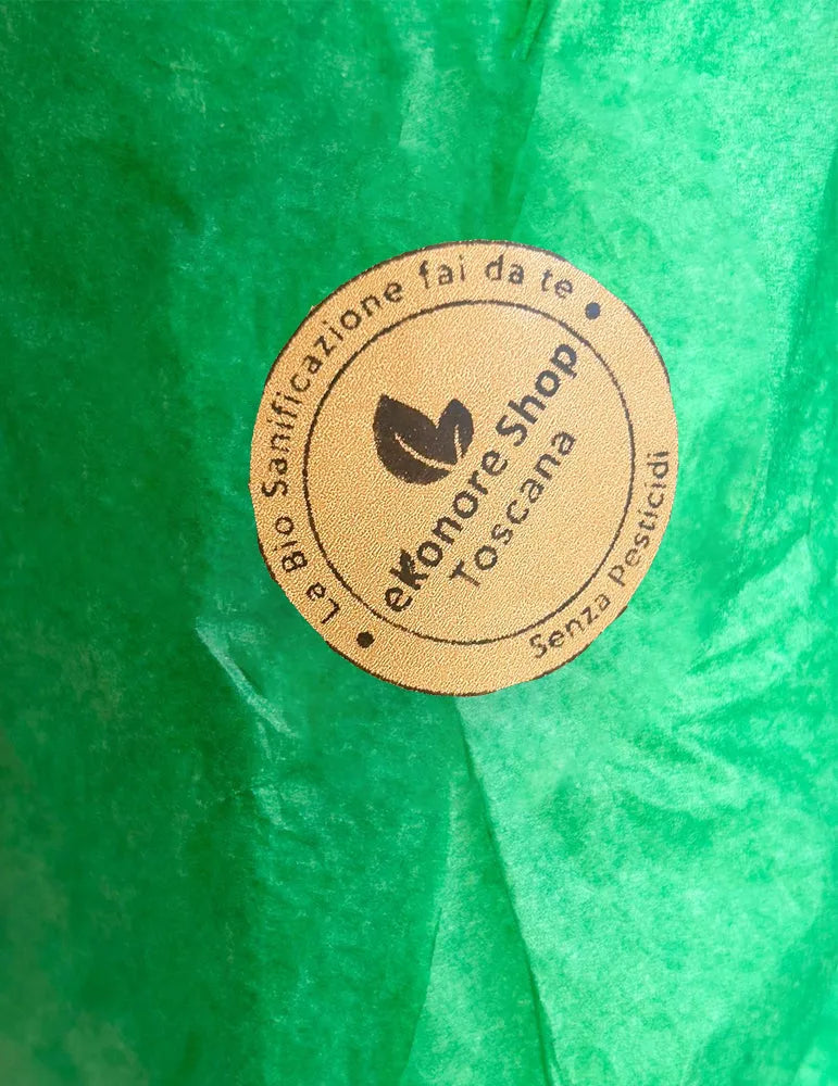 Eliminare le pulci in casa trattamento