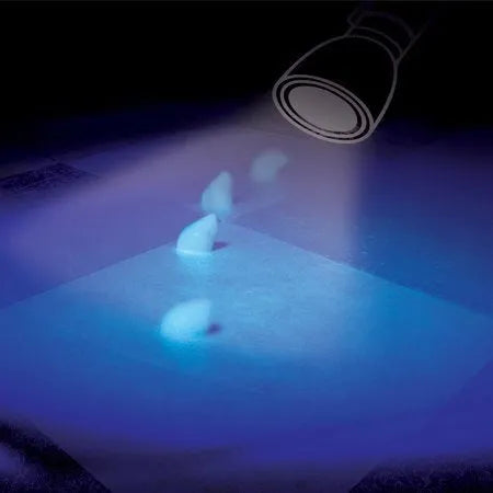 Insetticida per blatte gel fluorescente