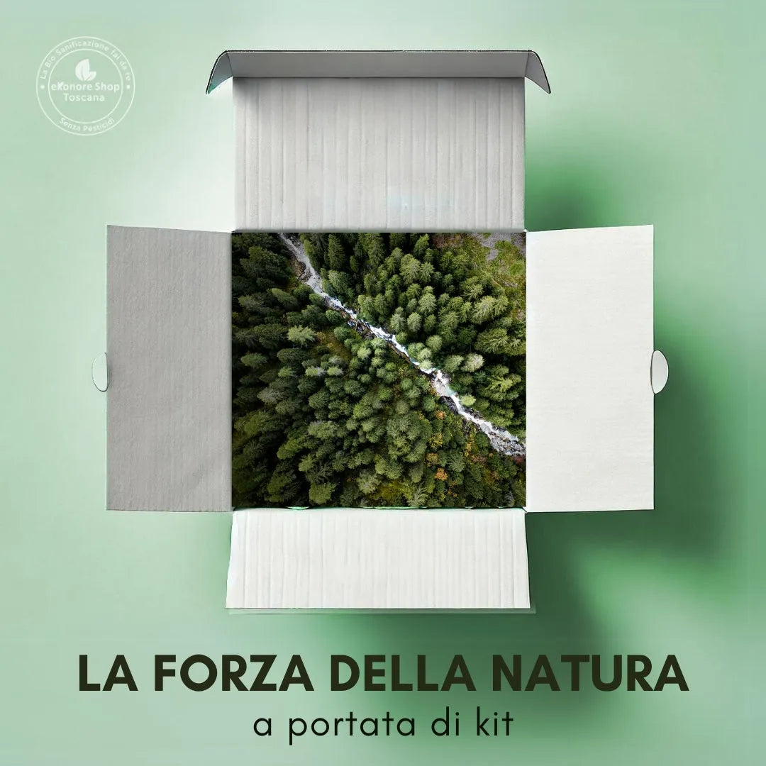 Bio Disinfestazione Fai Da Te