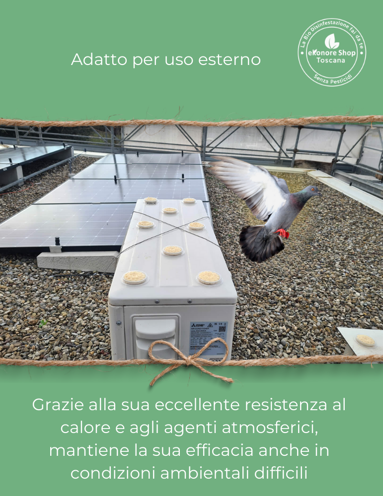 Disabituante Piccioni e Volatili | BirdFree