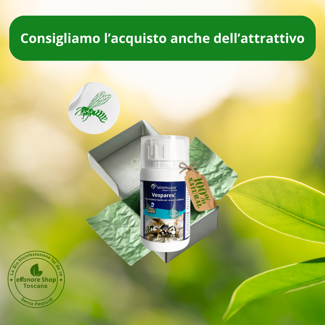 WASP TRAP | Trappola per Calabroni e Vespe