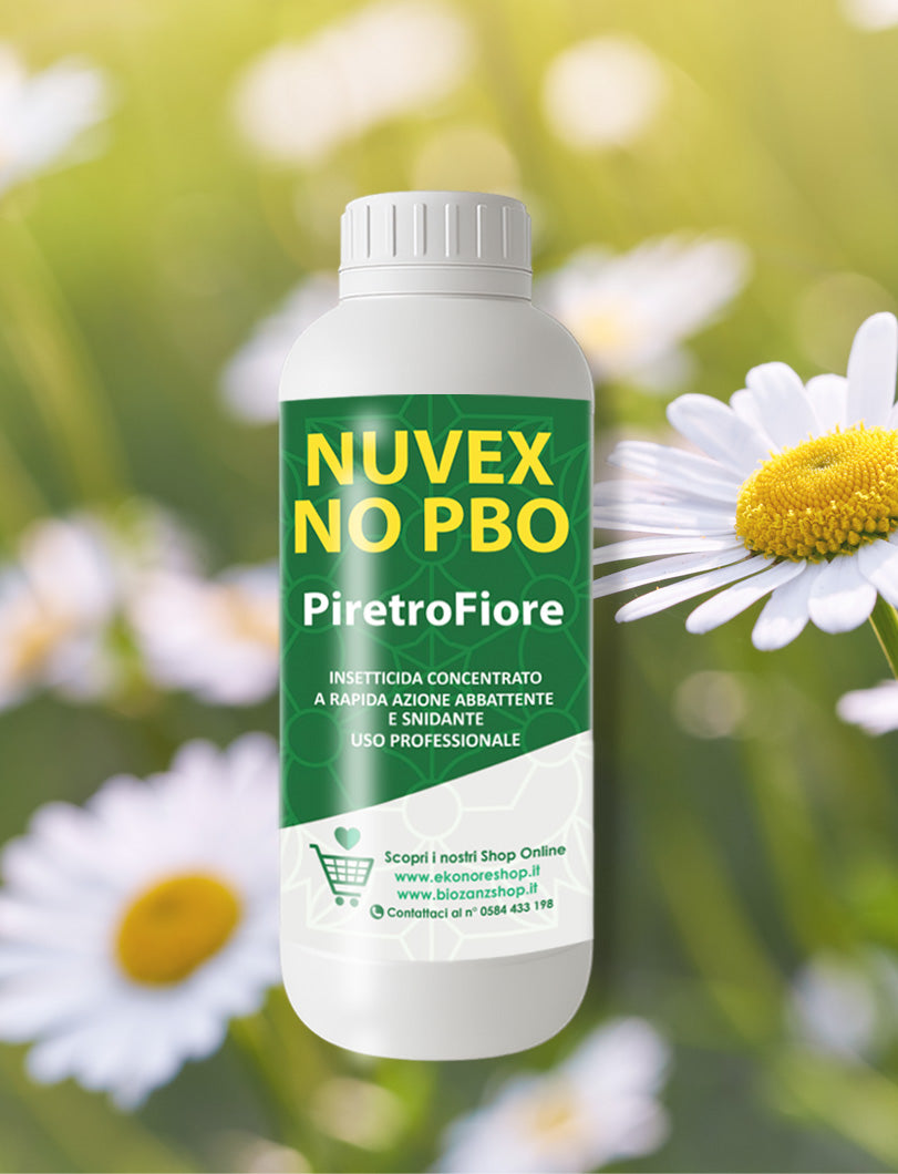 PiretroFiore Insetticida Naturale Piretro Concentrato contro Insetti Infestanti