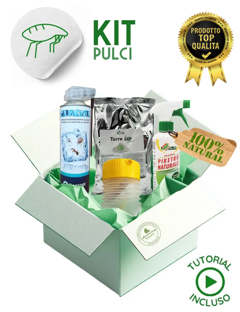 kit-disinfestazione-pulci-top-quality