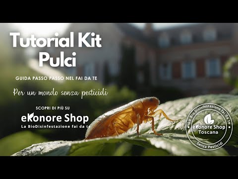 Kit Disinfestazione Pulci Fai Da Te | Ciclo Completo Per Le Pulci - Ecocat Service - Foto 3
